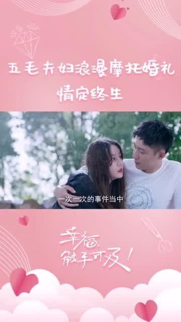 探寻菠菜种子直接撒土里能发芽吗,发现乐趣之旅